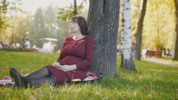 4K Mujer embarazada feliz lindo en vestido rojo sentado en manta y barriga acariciando en el parque de otoño al atardecer, diapositiva de tiro — Vídeo de stock