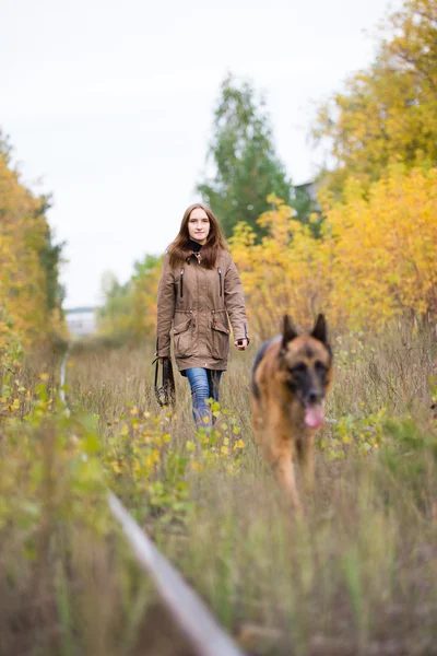 Jovem mulher atraente andando com seu cão pastor alemão na floresta de outono, perto do caminho ferroviário - a menina está em foco — Fotografia de Stock