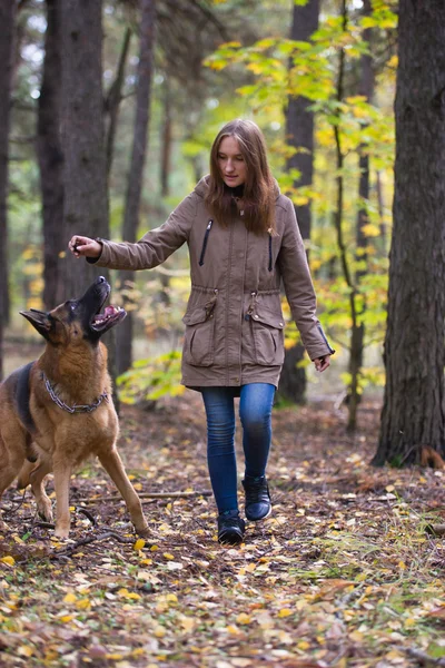 Jovem mulher bonita brincando com cão pastor alemão ao ar livre na floresta de outono — Fotografia de Stock