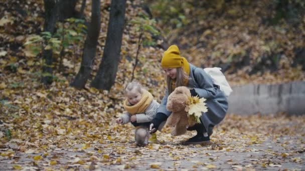 Una linda niña con el pelo rubio y su madre alimentar a las ardillas rojas en el parque de otoño, hojas amarillas alrededor — Vídeos de Stock