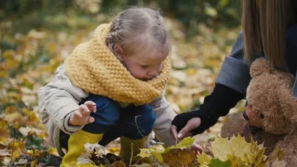 Мать с дочерью играют в осеннем парке - мама дает ребенку кленовый лист, крупным планом — стоковое видео