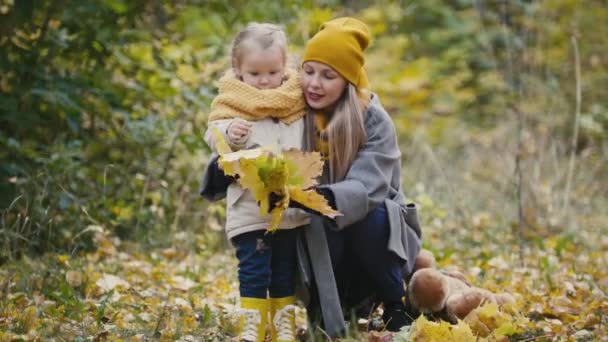 Mãe e sua filha menina brincando em um parque de outono - mãe dá criança folha de bordo — Vídeo de Stock