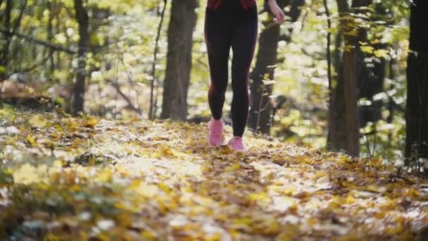 Futó fiatal lány lába futó cipő őszi út-closeup. Női fitness bikini modell szabadban ősszel a lehullott levelek borított úton kocogás. Sport egészséges életmód fogalma, lassú mozgás — Stock videók