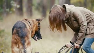 Genç kadın ve sonbahar bir ormanda - ormanda, bir köpekle oynayan kız yürüyüş onun pet - Alman kurdu - kapat