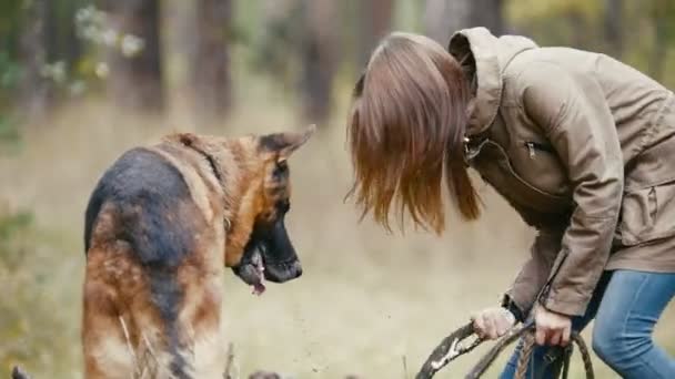 Mujer joven y su mascota - pastor alemán - paseando en un bosque otoñal - niña jugando con un perro en el bosque, de cerca — Vídeo de stock
