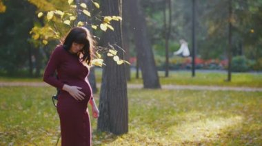 Sonbahar Park altın yaprağı arasında duran sevimli genç hamile kadın inme karnı