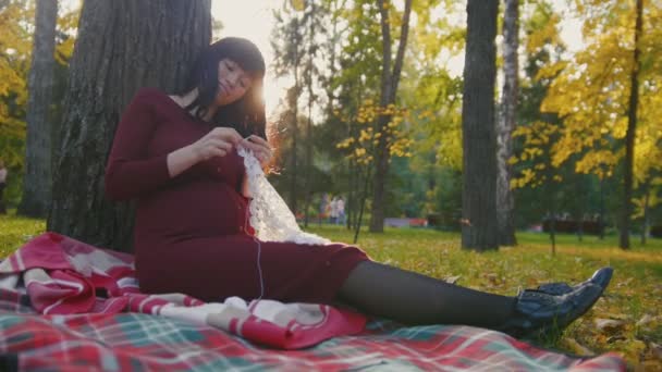 Hermosa mujer embarazada sentada en el parque de otoño entre hojas doradas y agujas de tejer, puesta de sol, luz de fondo, dolly shot — Vídeo de stock