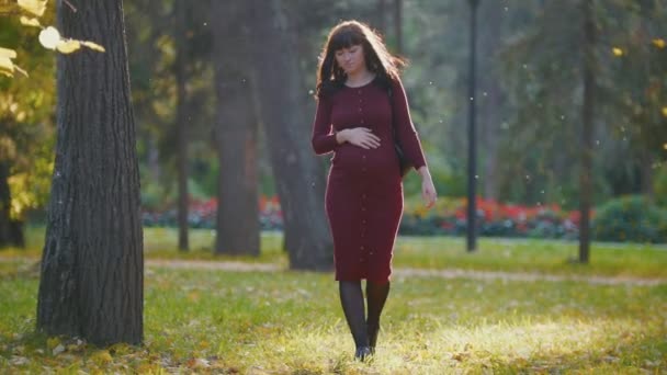 Jeune femme enceinte marchant au parc d'automne parmi les feuilles d'or, caresse son ventre — Video