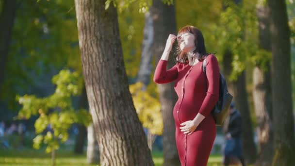 Портрет молодой беременной женщины, улыбающейся - стоя в осеннем парке, крупным планом — стоковое видео