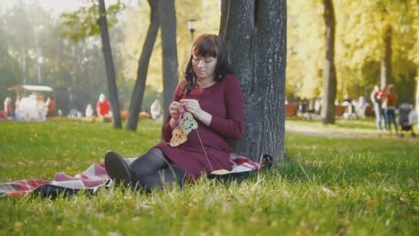 Schöne Schwangere im Herbstpark machen Hobby-Stricknadeln — Stockvideo