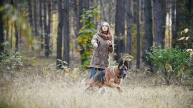 Onun pet - Alman kurdu - sonbahar orman - atılmış bir sopa, ağır çekim köpek arar, yürüyüş ile oynarken Kızıl saçlı genç çekici kadın