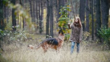 Onun pet - Alman kurdu - sonbahar orman üzerinde yürüme ile oynarken Kızıl saçlı çekici kadın genç güzel - kız köpek bir sopa, yavaş atar.
