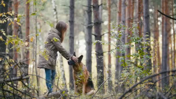 Joven linda mujer caminando en el bosque de otoño con su mascota - pastor alemán — Vídeos de Stock