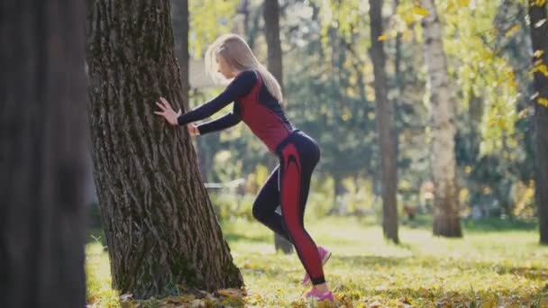 Fitness mujer entrenamiento de fuerza haciendo ejercicio en el soleado parque de otoño. Ajuste caucásico chica deportiva ejercitando su cuerpo cerca del árbol - levanta las piernas alternativamente — Vídeo de stock