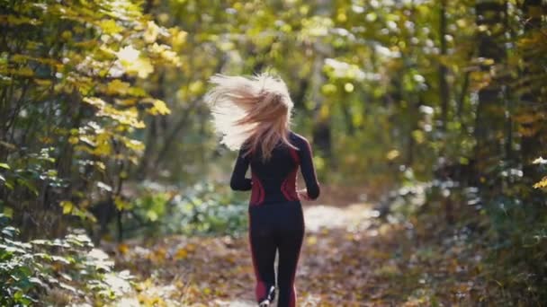 Sunny Autumn Jogging. Jovem atleta feminina ativa com cabelos brancos correndo ao ar livre no parque. Mulheres saudáveis, visão traseira, câmera lenta — Vídeo de Stock