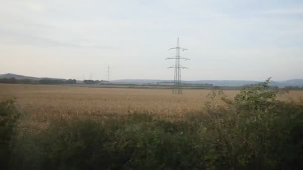 Vista do trem - Torre de alta tensão em um campo de trigo no dia ensolarado — Vídeo de Stock