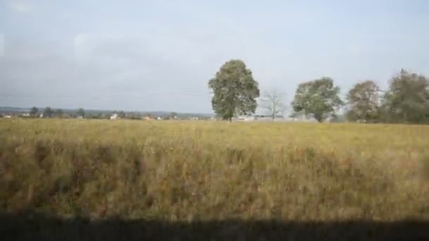 View from train - rural landscape of farms, fields, trees sunny day — Αρχείο Βίντεο
