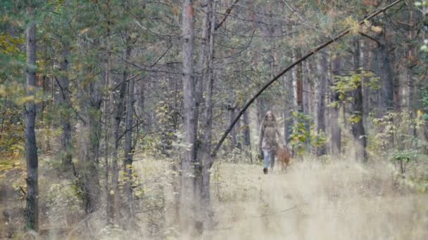 Giovane donna carina a piedi nella foresta autunnale con il suo animale domestico pastore tedesco, grandangolo — Video Stock