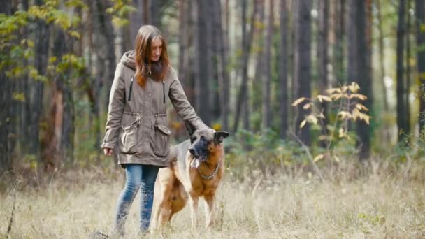 Kız ile onu evde beslenen hayvan - -, sonbahar orman - Alman çoban köpeği onun dilini sıkışmış — Stok video