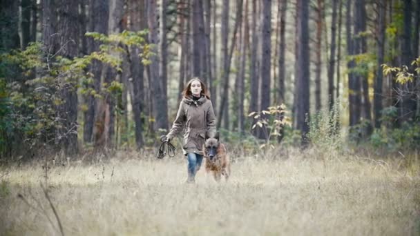 Jovem mulher feliz bonito brinca com seu cão pastor alemão no parque de outono amarelo cão brinca com um ramo, o cabelo das meninas acenando, câmera lenta — Vídeo de Stock