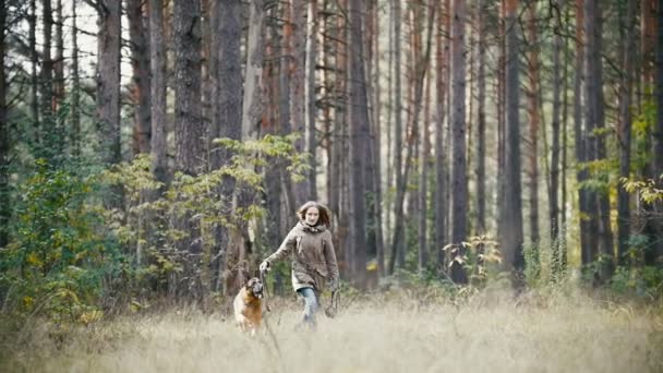 Joven linda mujer feliz juega con su perro - pastor alemán en el parque amarillo de otoño - el perro corre en la hierba y jugar con la correa, cámara lenta, gran ángulo — Vídeos de Stock
