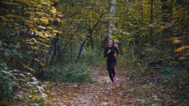 Jovem atleta feminina ativa exercitando ao ar livre parque de outono. Mulheres saudáveis, câmera lenta — Vídeo de Stock