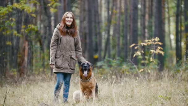 Girl With a Dog - german shepherd - at autumn forest - young pretty woman standing on meadow, petting her dog and laughs — Stock Video