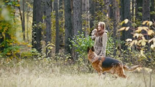 Jeune femme séduisante aux cheveux roux jouant avec son animal de compagnie - berger allemand - marchant dans la forêt d'automne - le chien court dans le Bush pour un bâton — Video