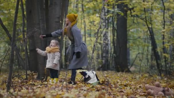 Glückliches Familienkonzept - kleine Tochter mit Mutter spielt mit gelben Blättern im Herbstwald - schüttelt den Baum, stapelt Blätter — Stockvideo