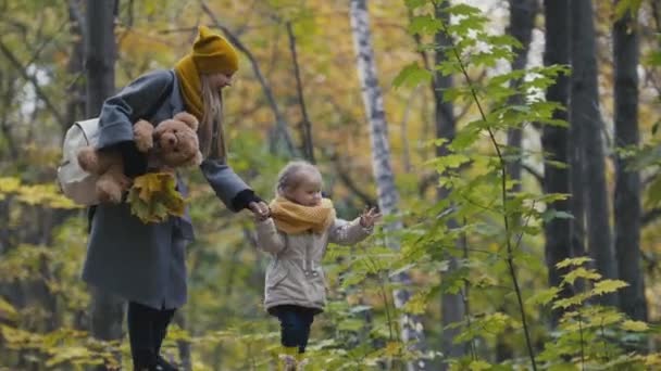 Hijita con su mami pasea en el parque de otoño - toca las hojas — Vídeo de stock