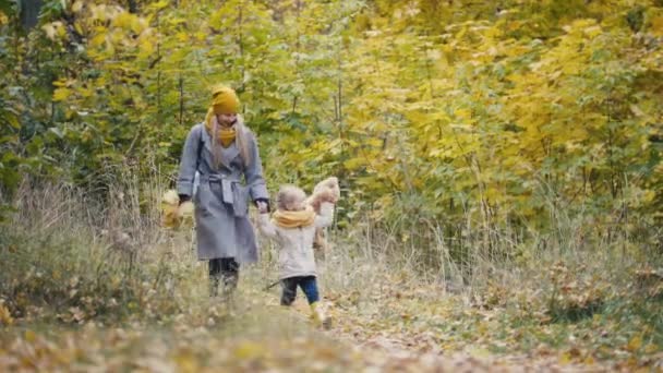 Filhinha com sua mamãe e Taddy urso caminha no parque de outono - joga as folhas — Vídeo de Stock