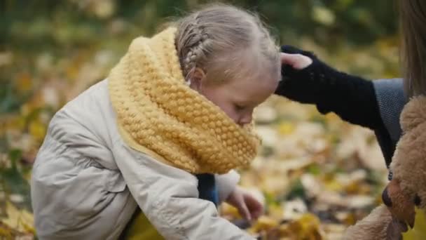 Drobná světlovlasá dívka s její maminka sbírat listí v parku na podzim, zblízka — Stock video