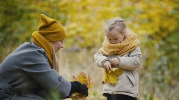 Blond liten dotter med hennes mamma promenader i höst park - har roligt och samla löv, närbild — Stockvideo