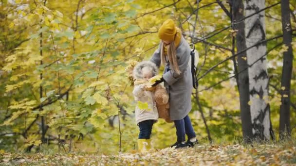 Красивая маленькая дочь с мамой играет с желтыми листьями в осеннем парке — стоковое видео