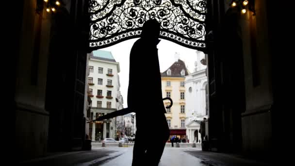 Kvinna med hjälp av mobiltelefon i hofburg Vienna, siluett, vidvinkel — Stockvideo