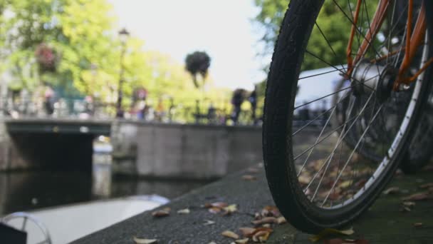 Vista de la rueda de bicicleta en el canal de Ámsterdam, soleado otoño europeo — Vídeos de Stock