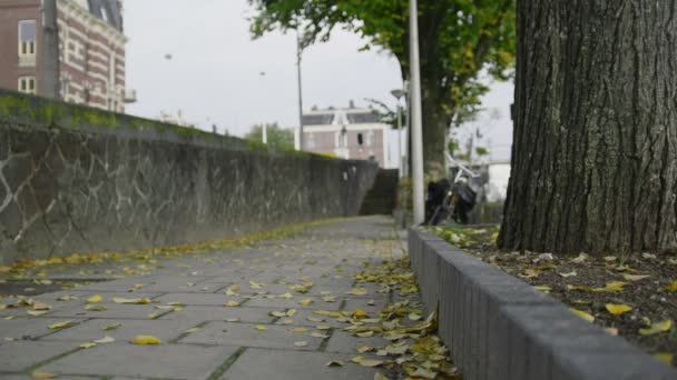 Strada autunnale ad Amsterdam, foglie gialle — Video Stock