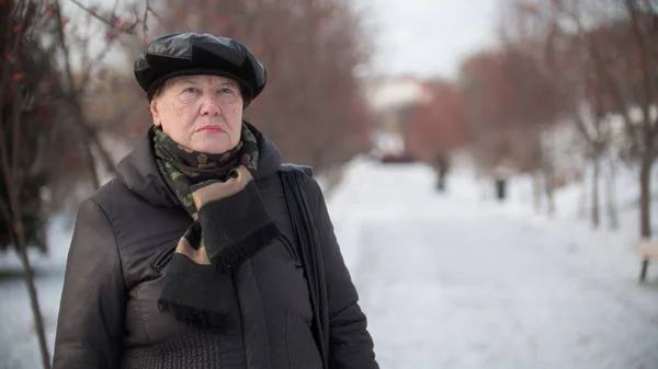 Retrato de la anciana en el parque en el día de invierno — Foto de Stock