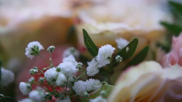 Anillos de boda en las flores - movimiento deslizante — Vídeo de stock