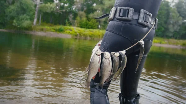 Lanza pescador muestra peces de agua dulce en el cinturón de bajo el agua después de la caza en el río bosque, vista trasera — Foto de Stock