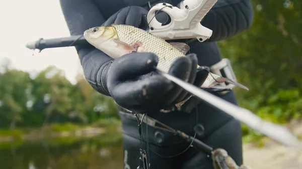 Los peces de agua dulce a la lanza del pescador submarino después de la caza en el río del bosque — Foto de Stock