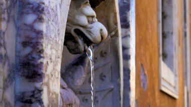 Çeşme ve bazilikanın kubbe - Roma, İtalya