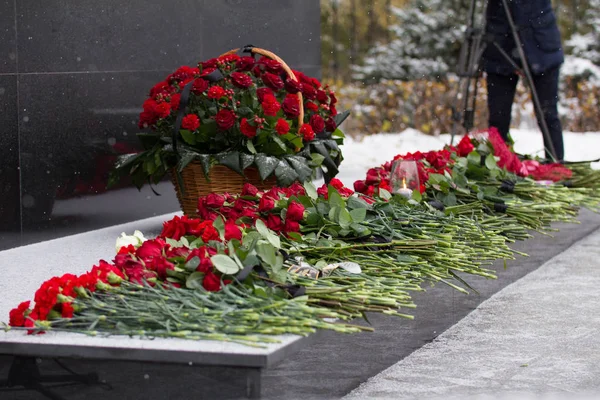 Röd blomma på monumentet vid begravningsceremonin — Stockfoto