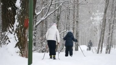 Sağlıklı spor aile - anne ve çocuk - kayakçı kış kar Park