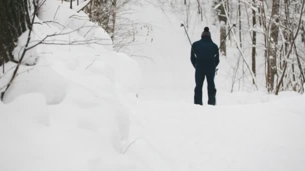 Sport invernali - scivoli sciatori nella foresta di neve — Video Stock