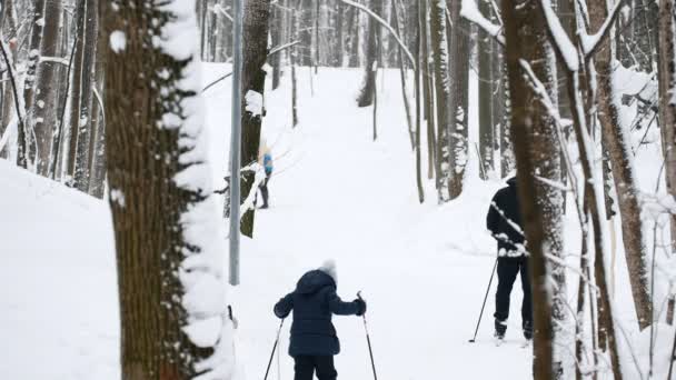 冬の健康的なスポーツ家族 - 母、父と子 - スキーヤー雪の森 — ストック動画