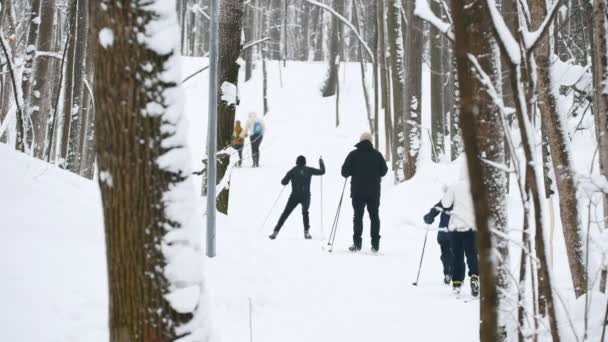 冬の雪の森でスキー健康スポーツ家族移動スライドします。 — ストック動画