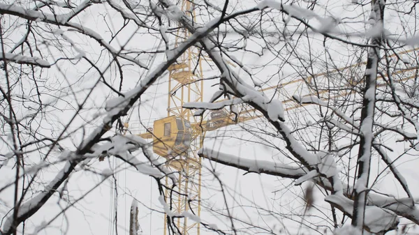 Sarı inşaat vinç kar kış — Stok fotoğraf