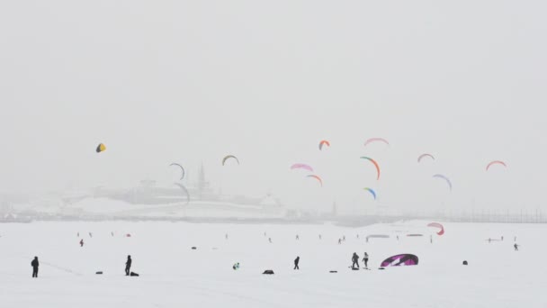 Deportes extremos de invierno - un colorido diferente cometas de nieve sobre el río de hielo en frente de la ciudad en el día nublado ventisca — Vídeos de Stock