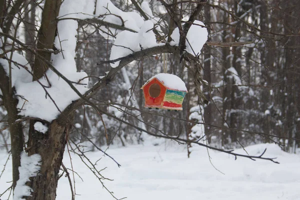 Červená stodola holubník sněhem v zimě lese — Stock fotografie